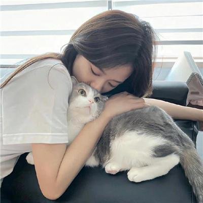 恶搞之家第十五季