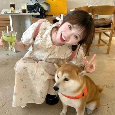 经典高分