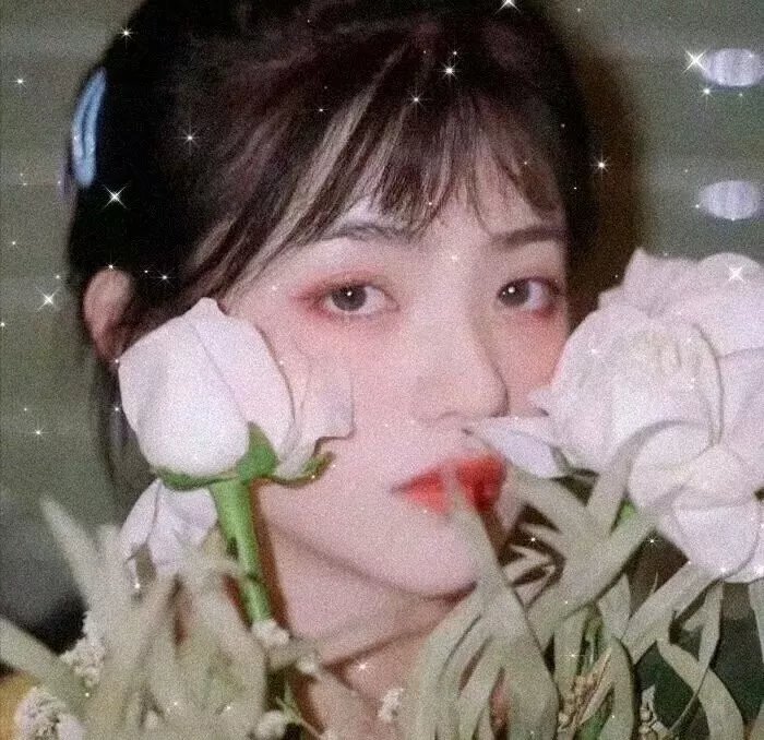 白色酢浆草
